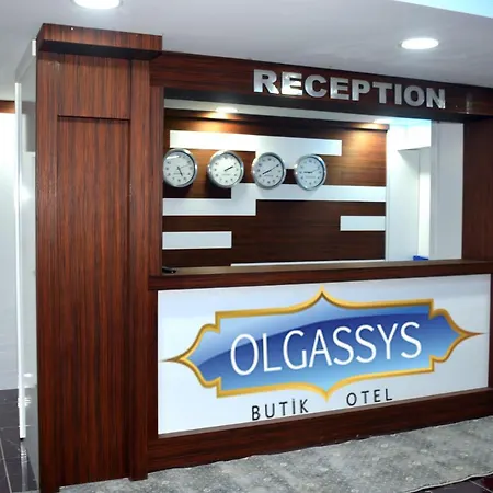 Olgassys Pyrogi